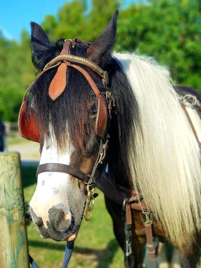 Les Chevaux De L'Hippocampe Hotel Mont-Dol Exterior foto